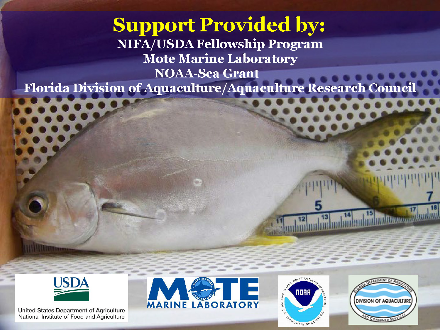 Slide 39: Acknowledgment of funding support from NIFA/USDA, Mote Marine Laboratory, NOAA-Sea Grant, and Florida Division of Aquaculture
