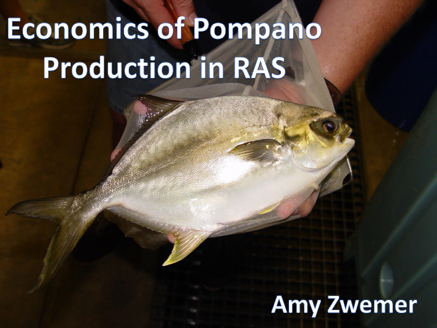 Title slide for Economics of Pompano Production in RAS presentation by Amy Zwemer