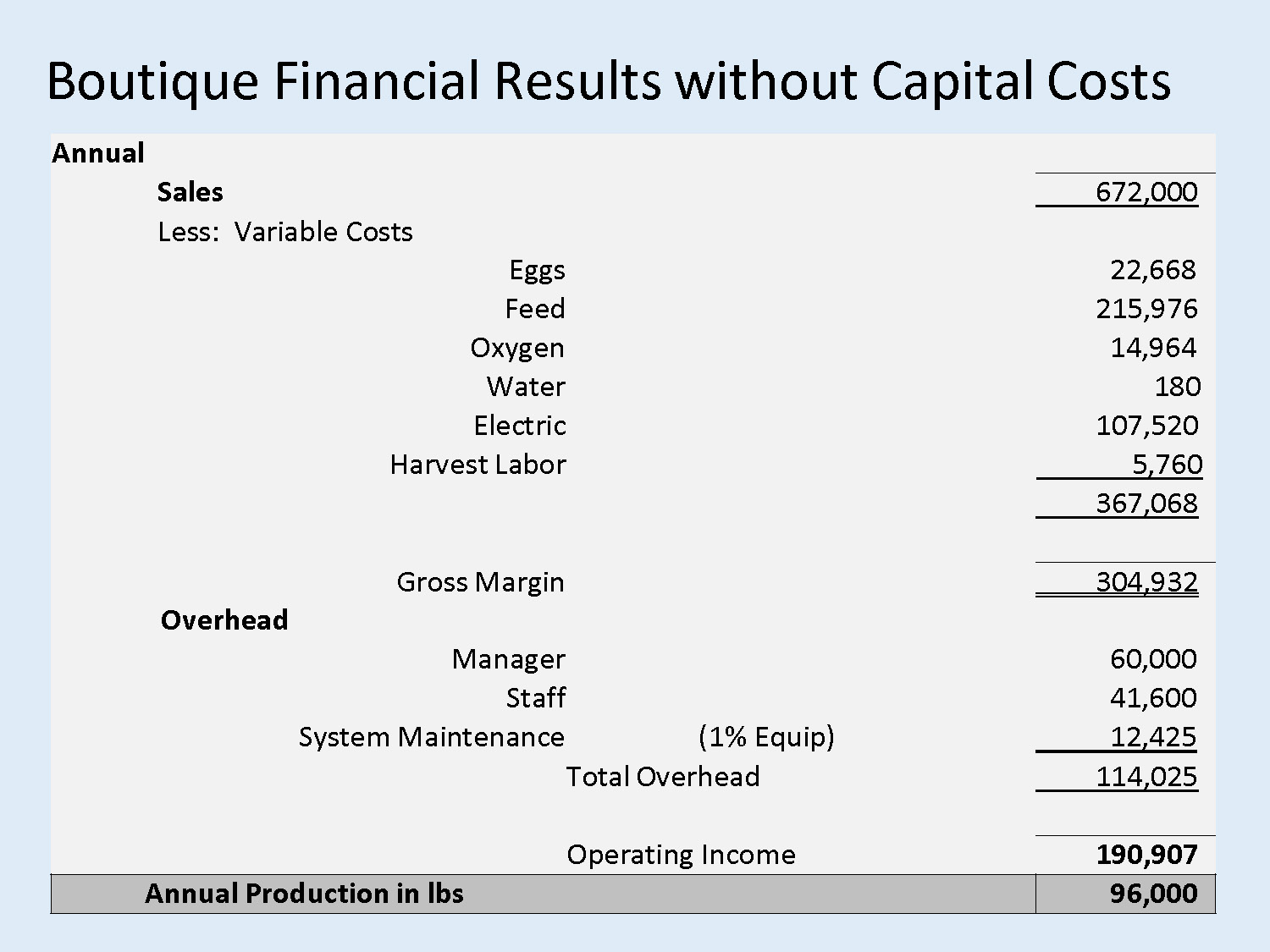 Table showing boutique financial results without capital costs