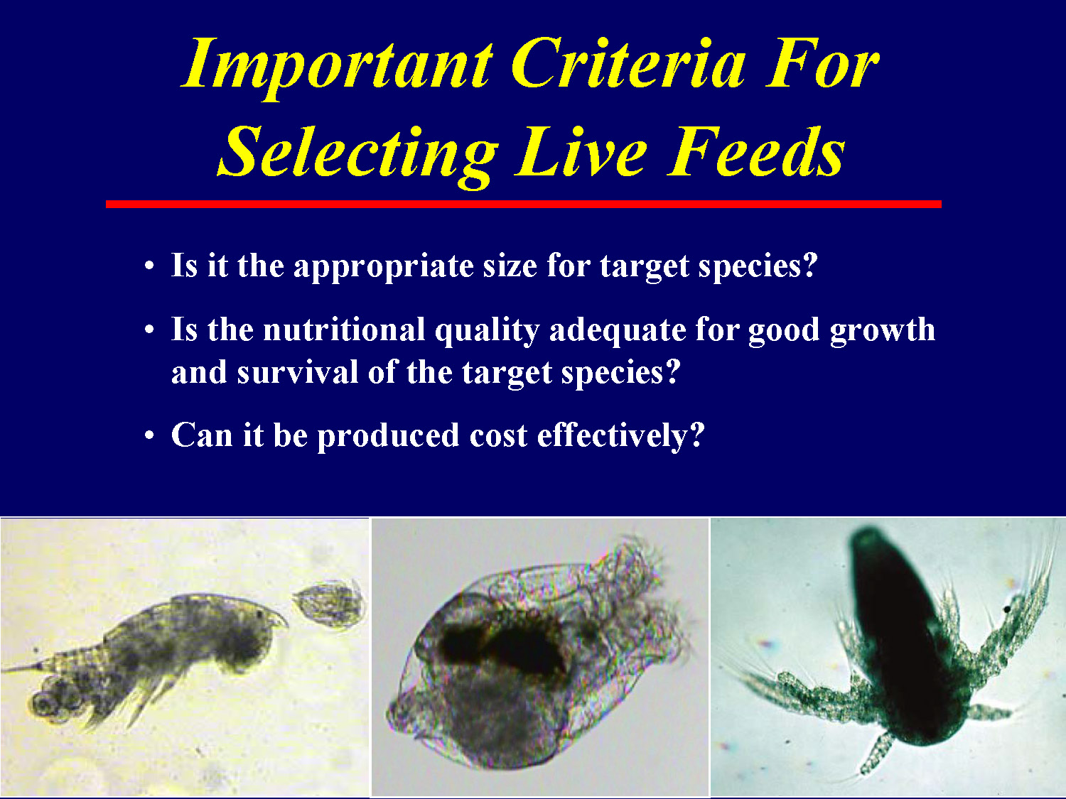 List of three important criteria for selecting live feeds