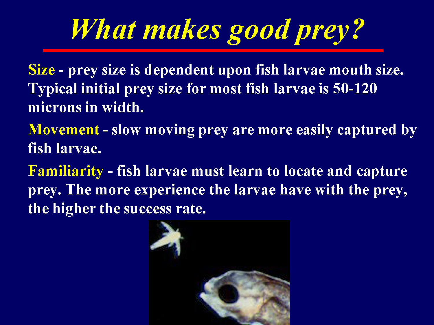 Criteria defining what makes good prey for fish larvae, including size, movement, and familiarity