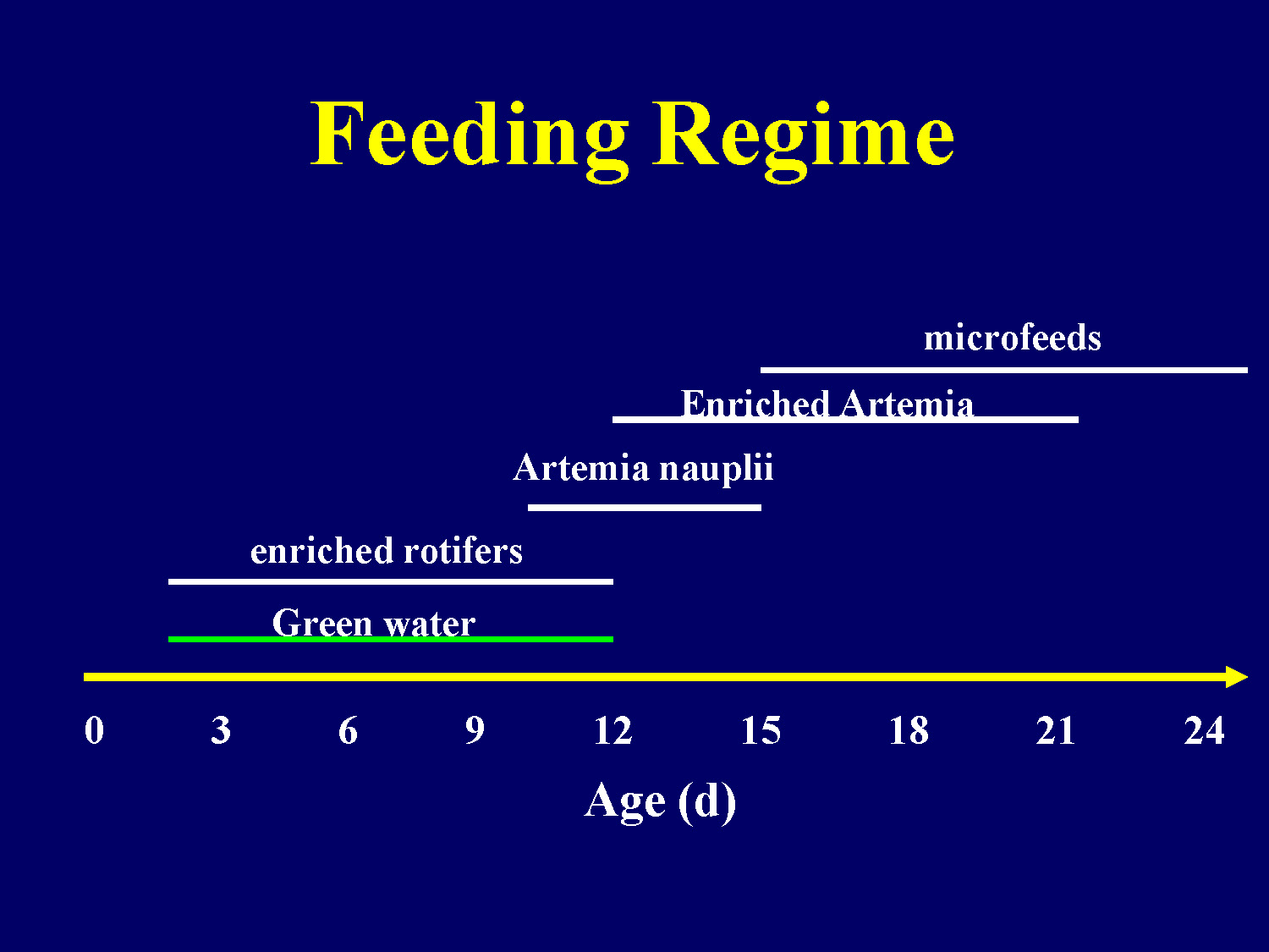 Timeline chart showing feeding regime for fish larvae from 0 to 24 days of age