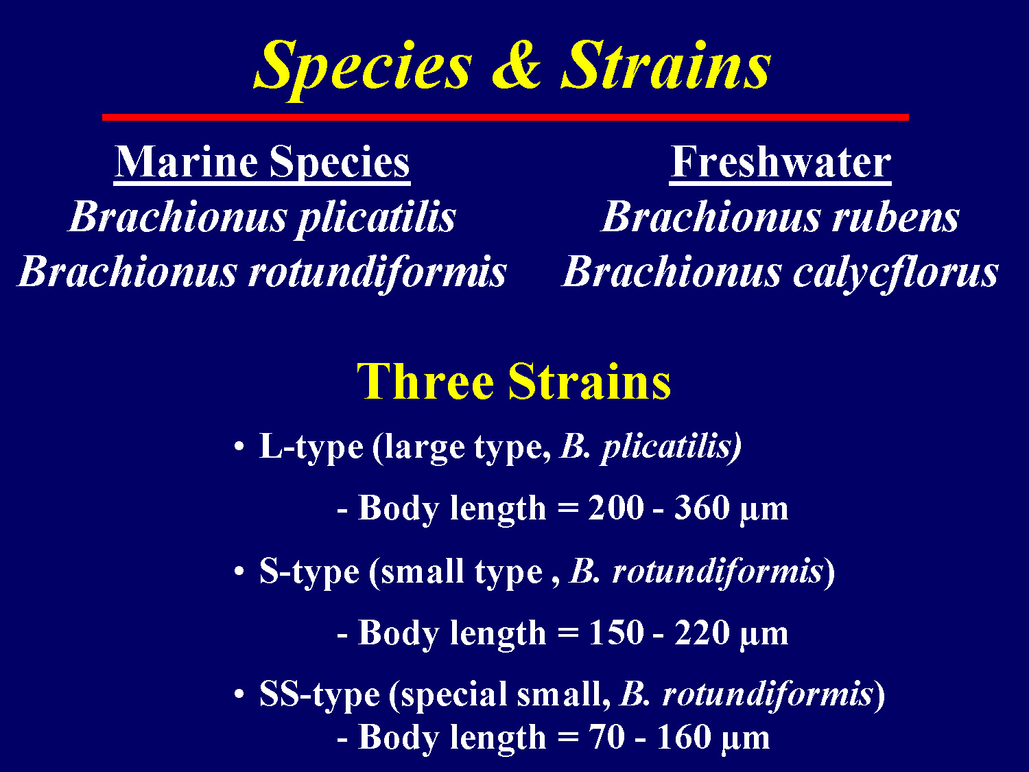 Classification of rotifer species and strains used in aquaculture