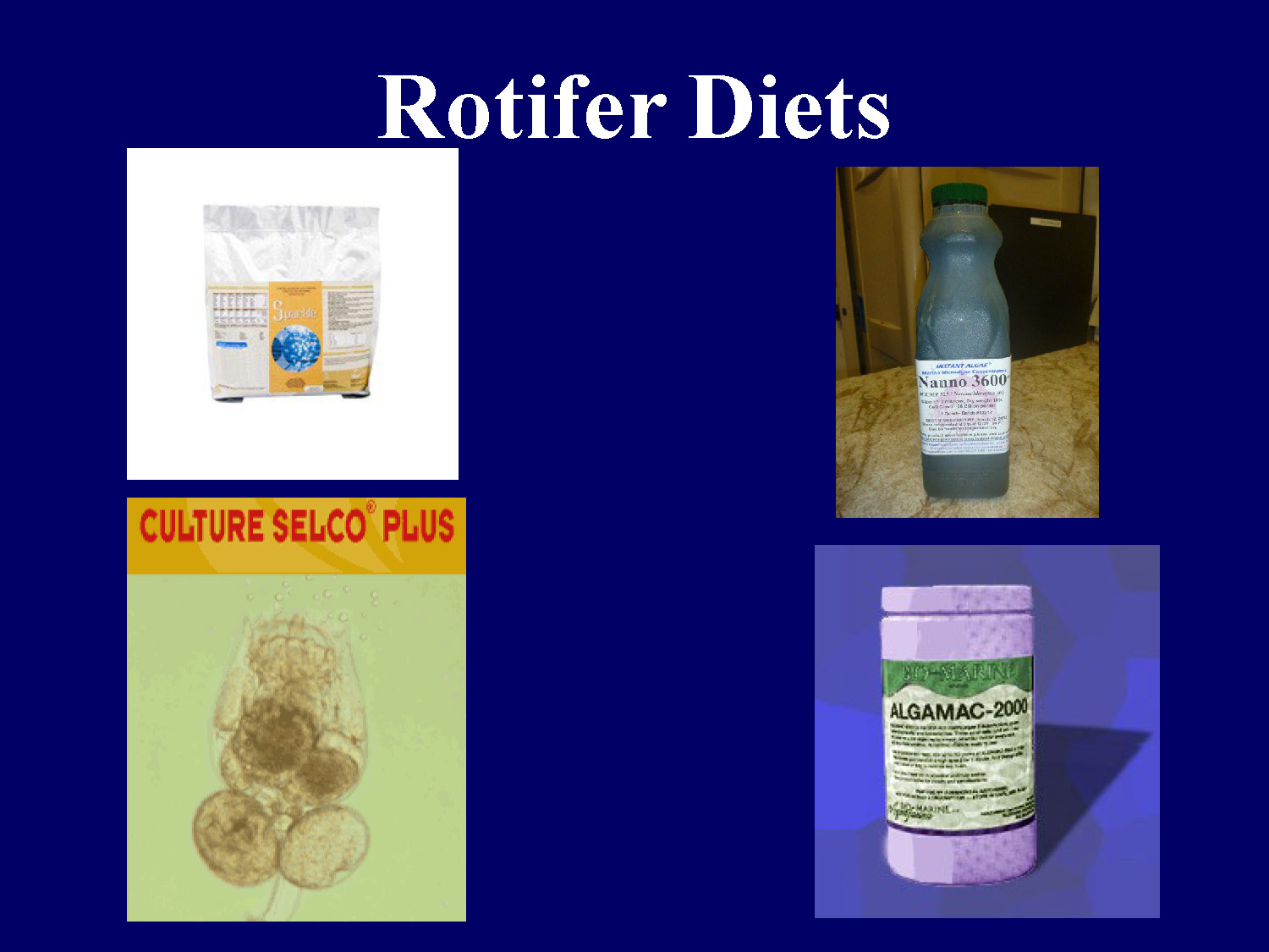 Photo showing various commercial rotifer diet products
