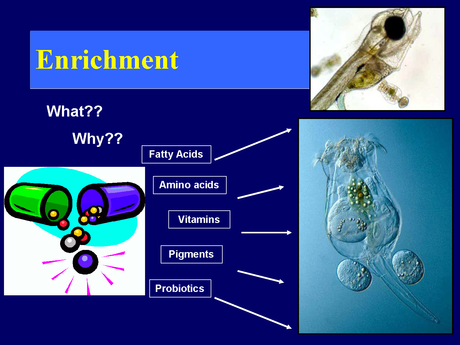 Diagram showing what and why various nutrients are added during enrichment
