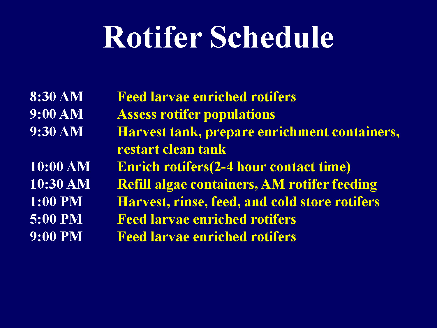 Daily schedule for rotifer production and larval feeding
