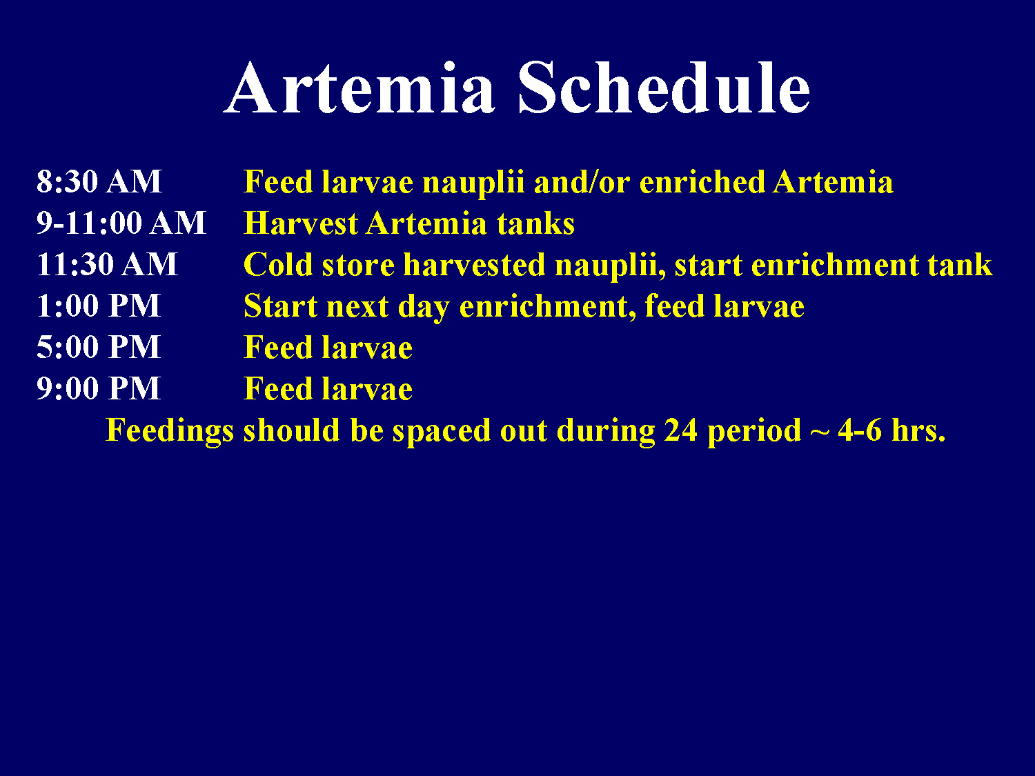 Daily schedule for Artemia production and larval feeding