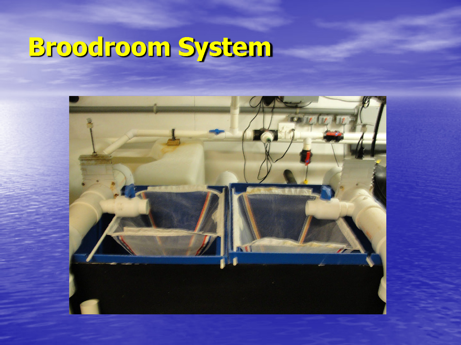 Slide 10: Another view of broodroom system with tanks and overhead equipment