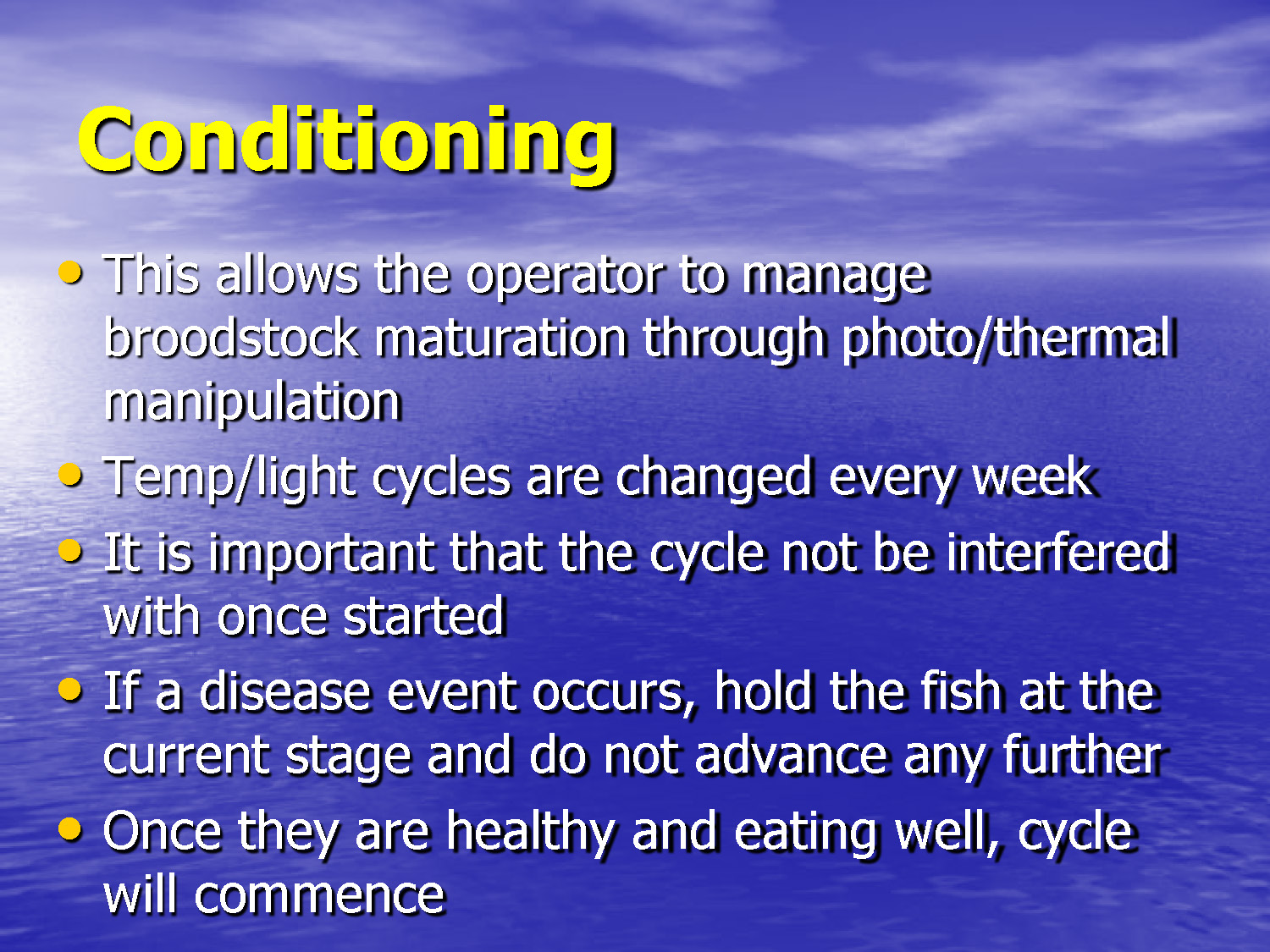 Slide 13: Conditioning protocol using photo-thermal manipulation