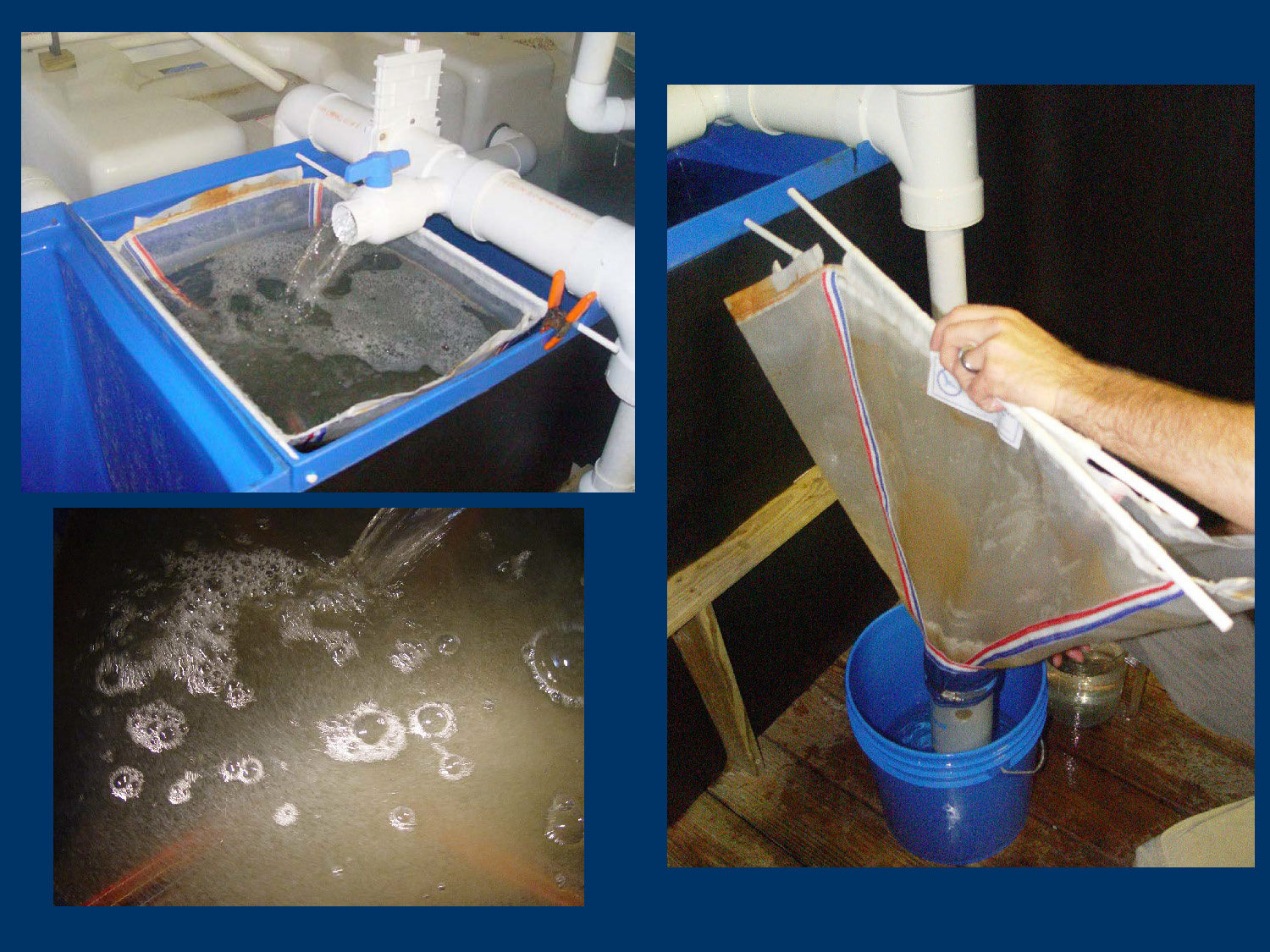 Slide 18: Three photos showing an aquaculture egg collection process: water flowing from a pipe into a mesh collector bag, a close-up of floating fish eggs, and a technician lifting the mesh bag to harvest the eggs.