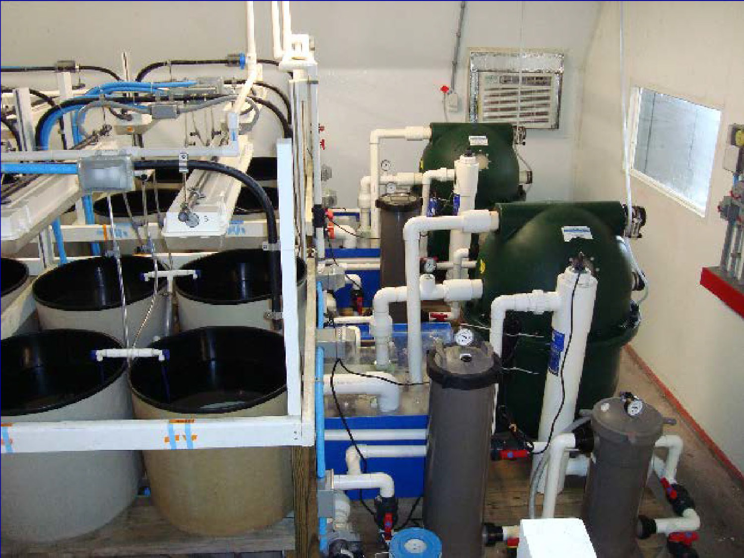 View of a hatchery filtration system including large green tanks and various vertical filter canisters.