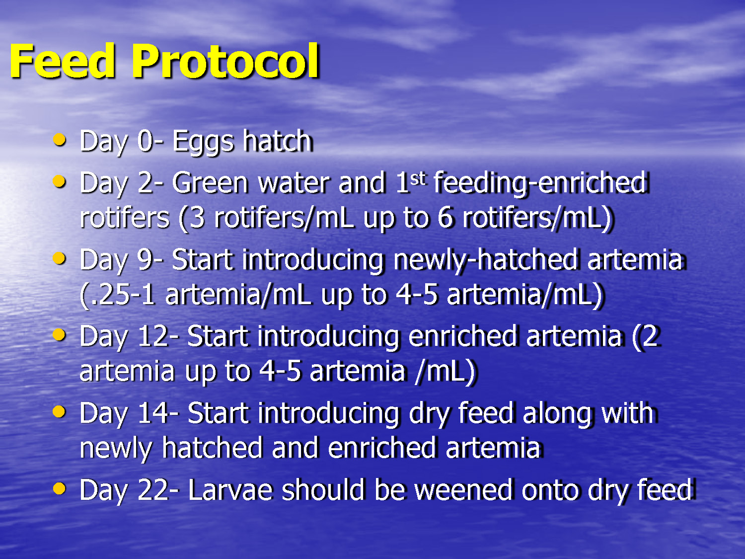 Slide 37: Detailed feed protocol schedule with specific days and densities