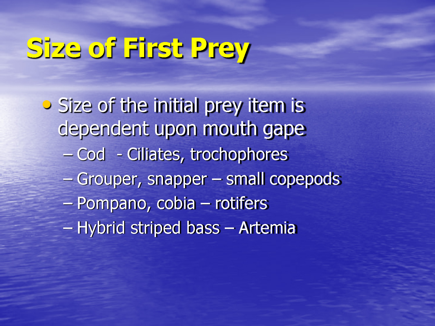 Slide 40: Size of first prey items for different fish species
