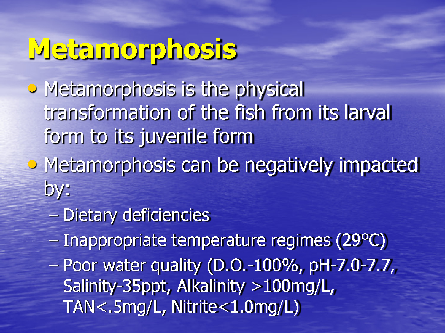 Slide 43: Metamorphosis process and factors affecting it