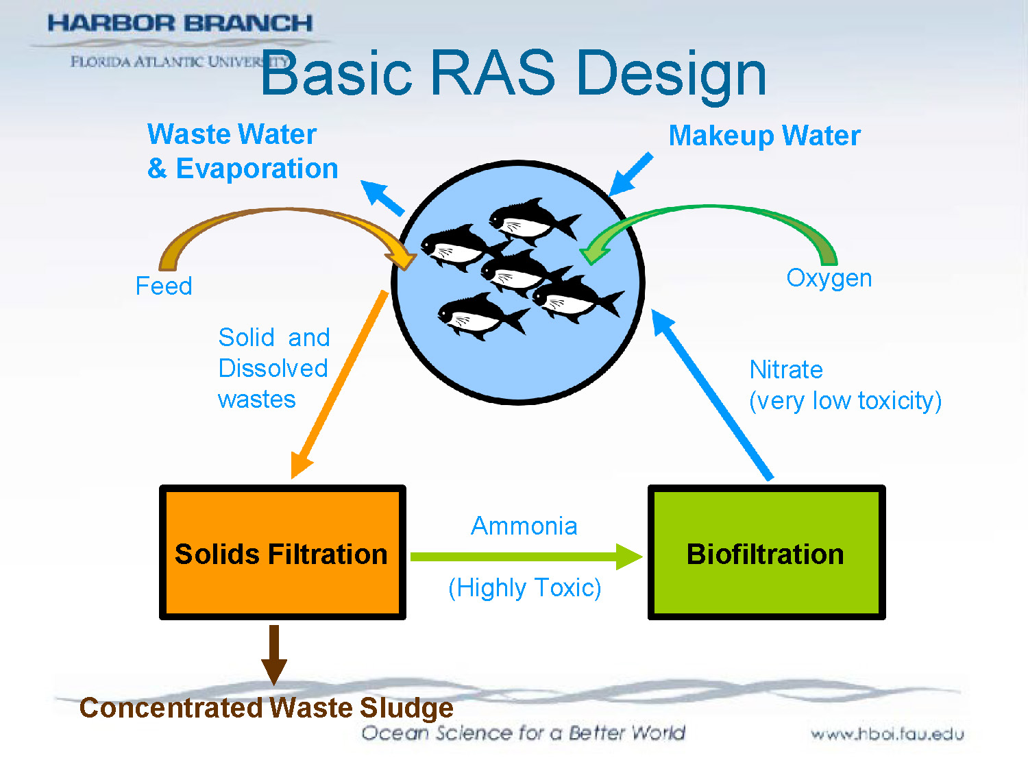 Slide 4: Diagram showing basic RAS design with filtration components and water flow