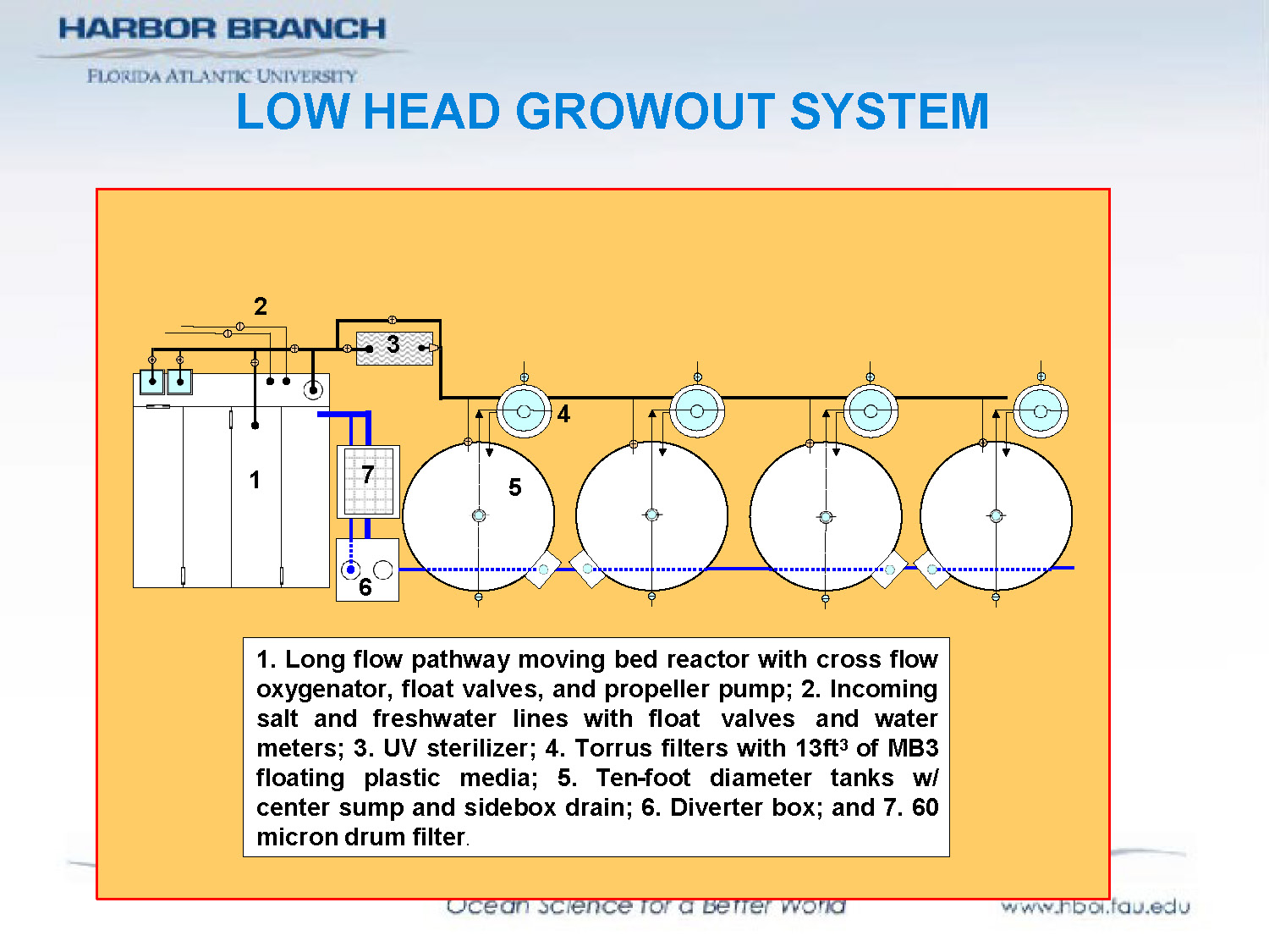 Slide 7: Diagram and photo of low head growout system with numbered components