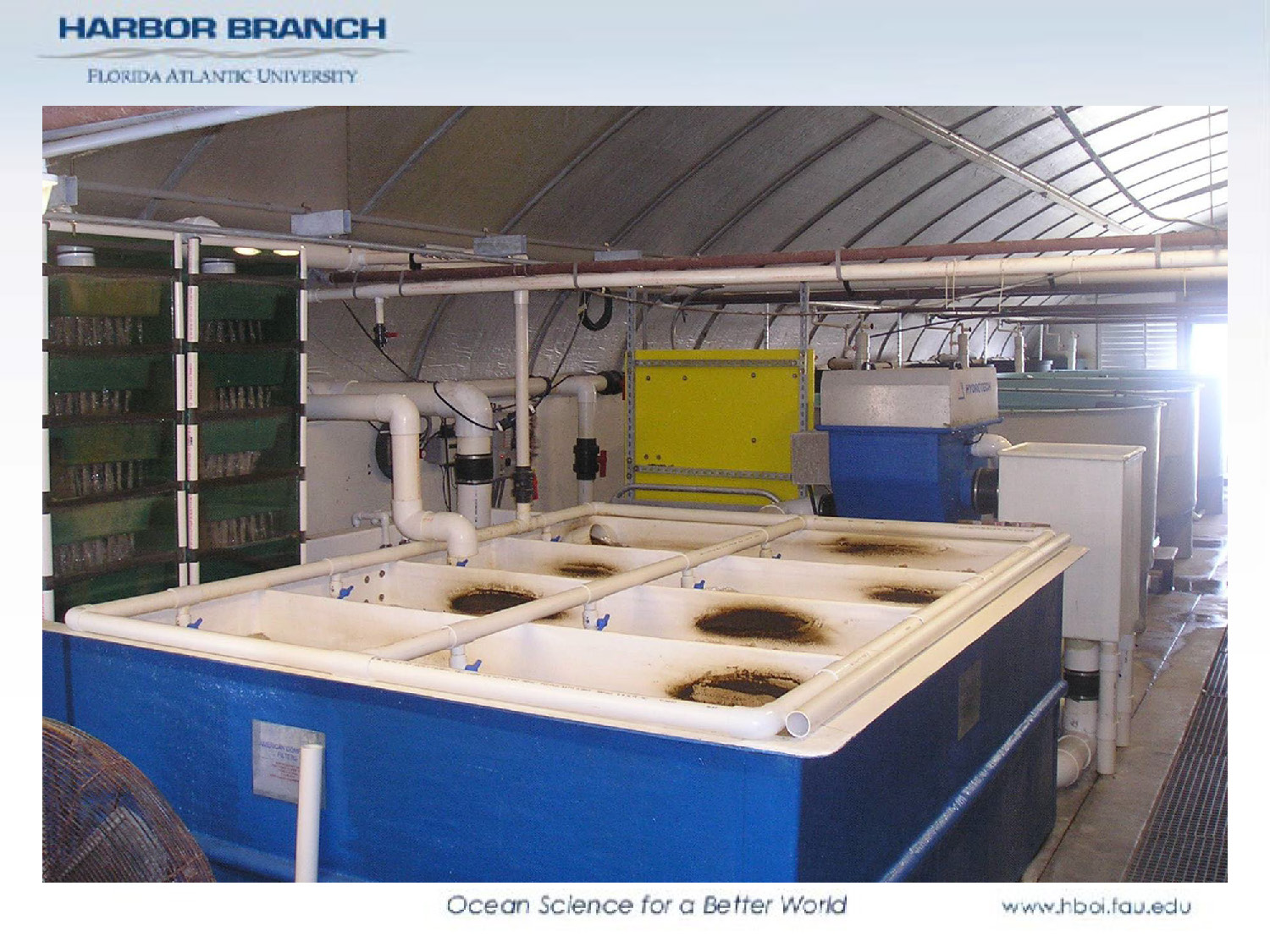 Interior view of an aquaculture facility showing a large blue rectangular tank and complex PVC piping systems.