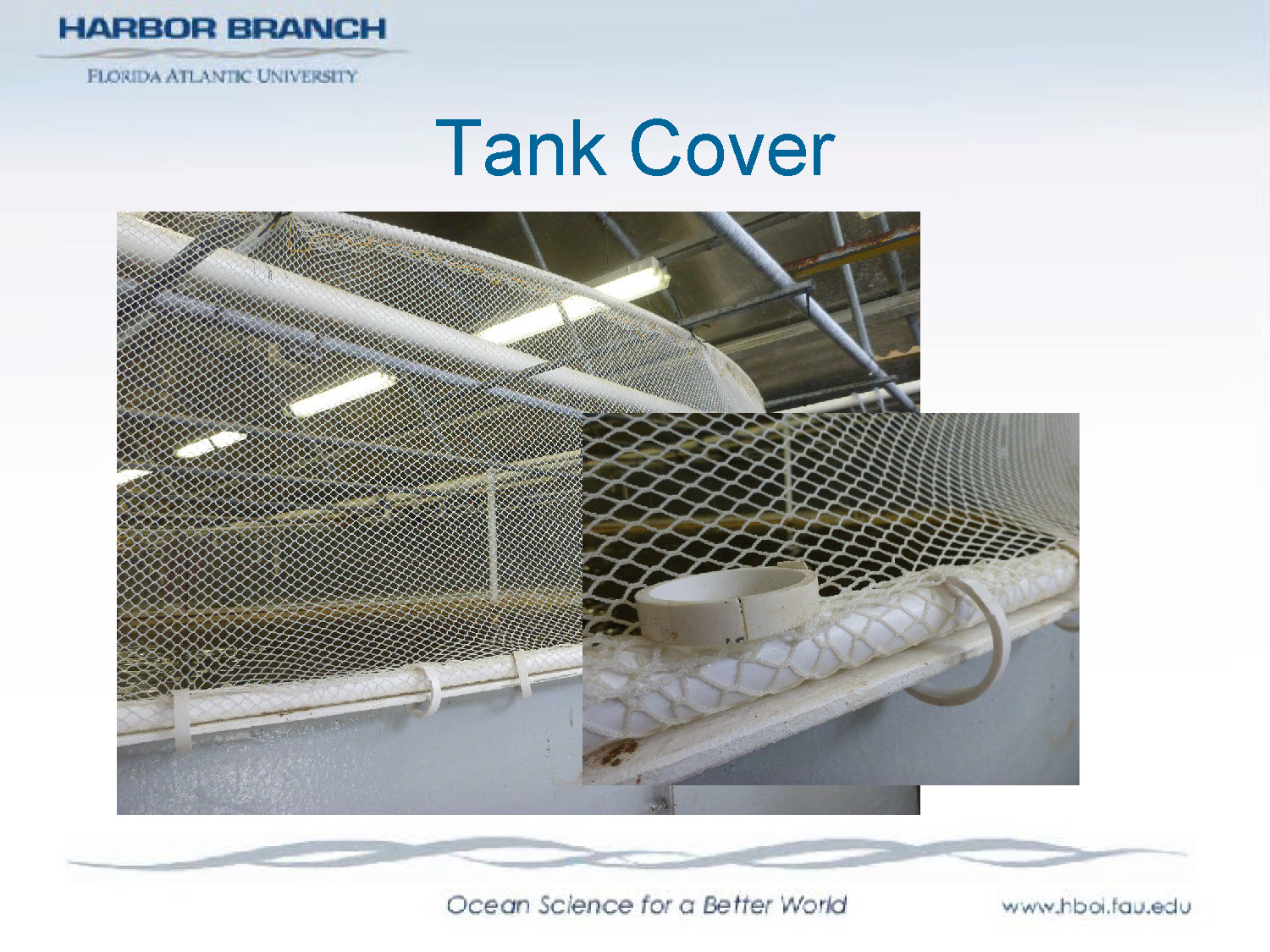 Slide 18: Photograph showing tank covers on the culture system