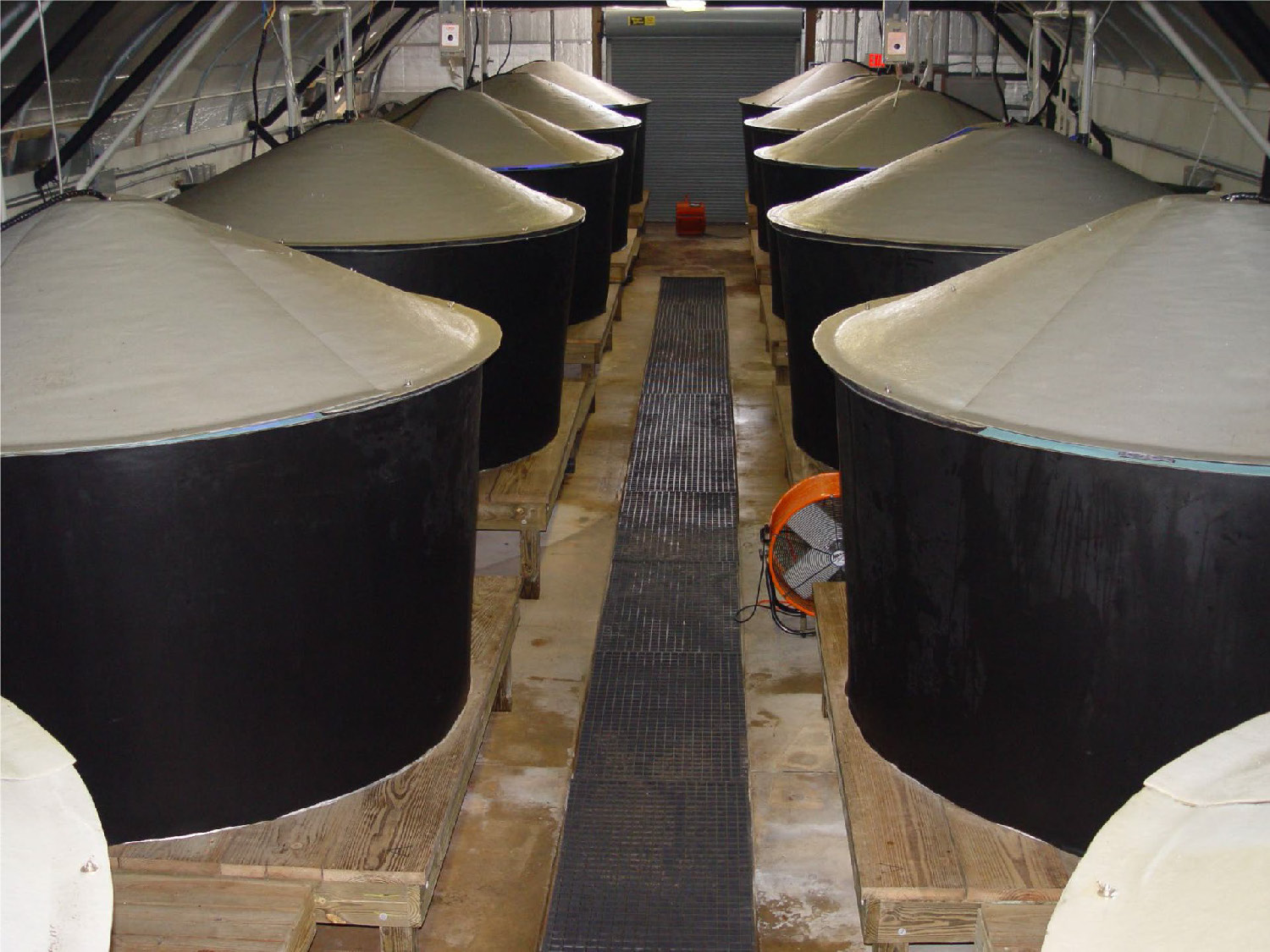 Interior aisle of a facility lined with two rows of large, black circular fish tanks covered with white lids.
