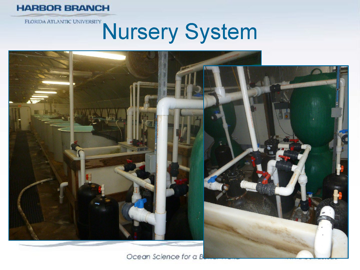 Slide 33: Photograph of nursery system tanks