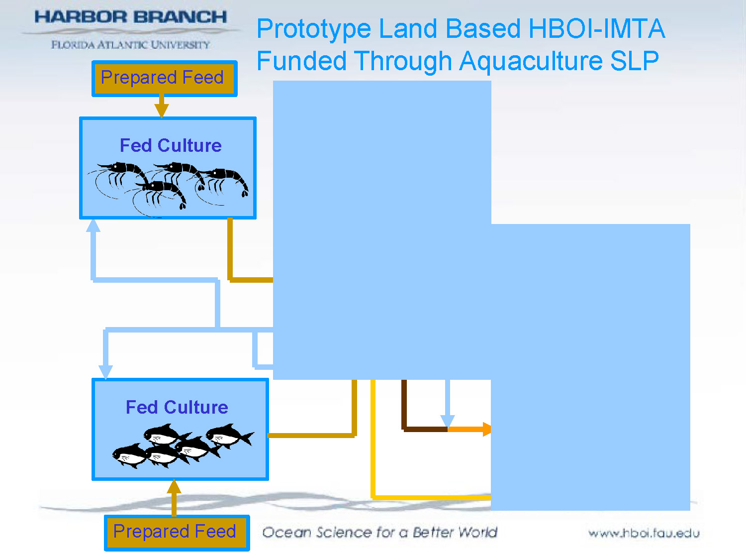 Slide 37: Diagram showing prototype land-based IMTA system with different culture components
