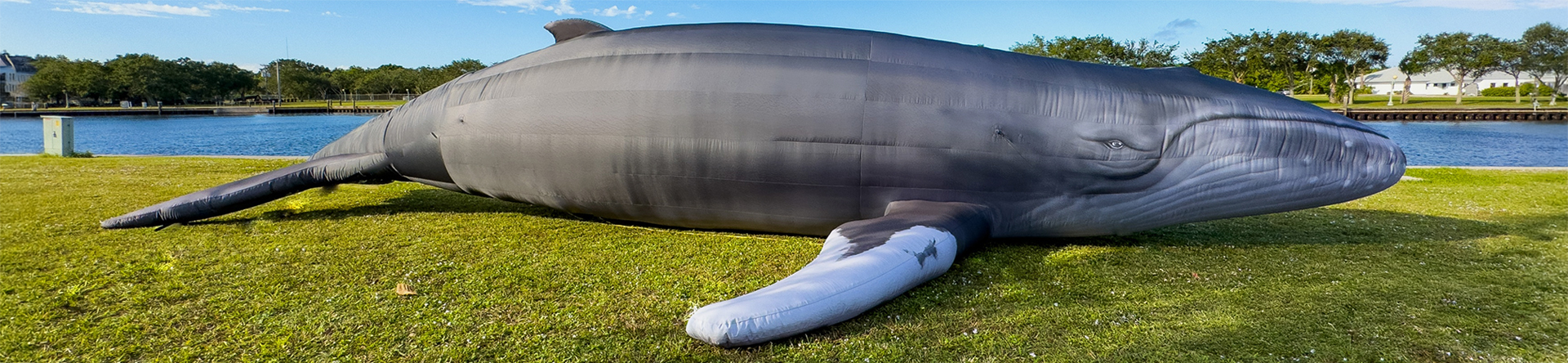 large blow-up whale