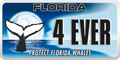 blue and white license plate with 4 EVER