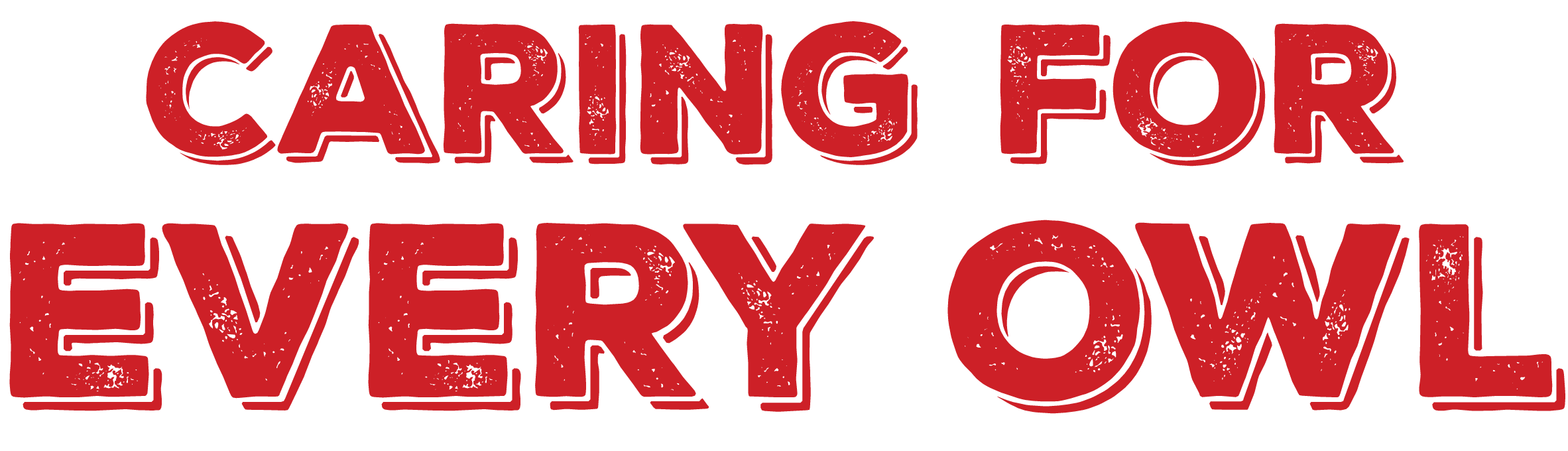 Caring for Every Owl