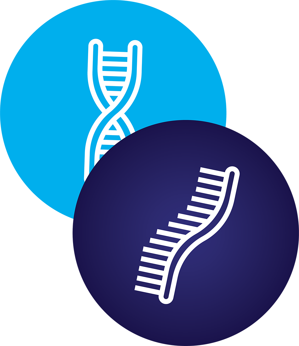 depiction of rna