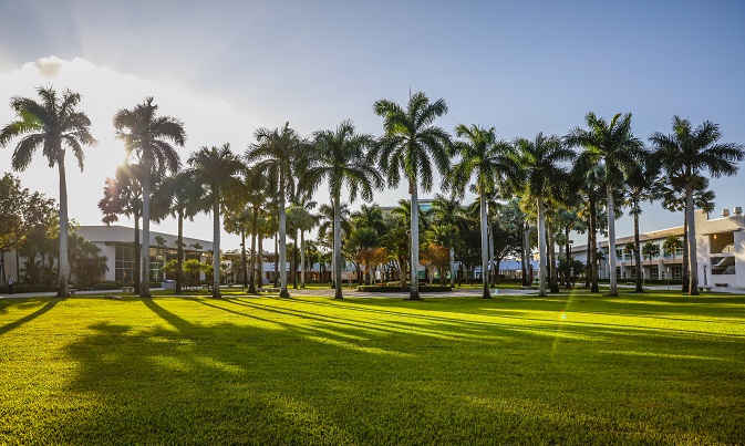 florida atlantic university campus virtual tour