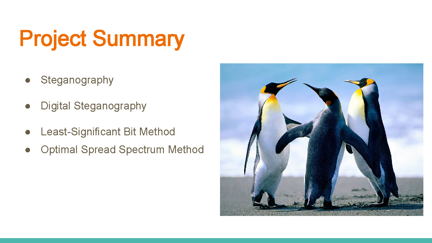 Slide 2: Project summary outlining steganography methods and techniques