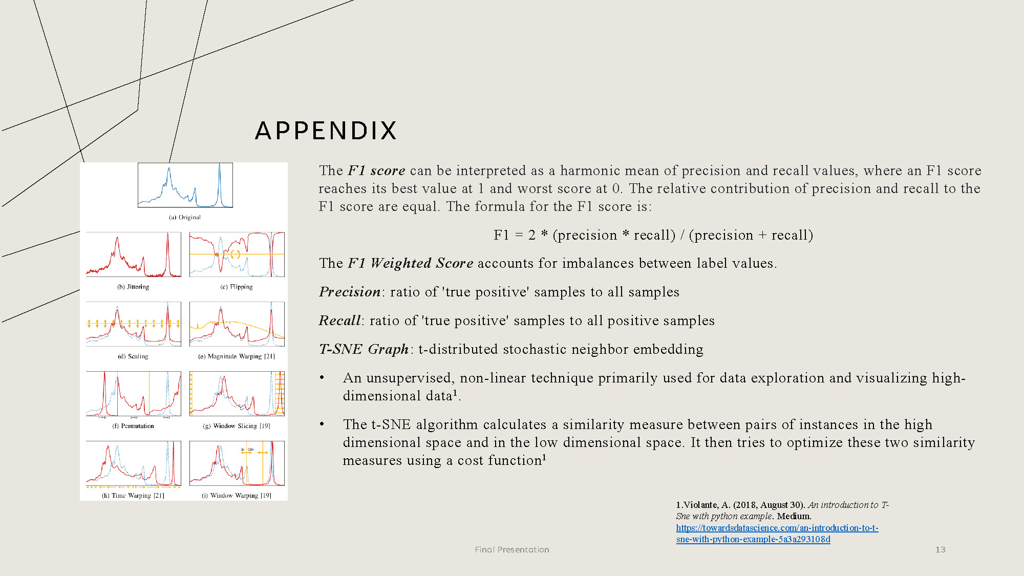Slide 13: Appendix with technical definitions of F1 score, precision, recall, and t-SNE