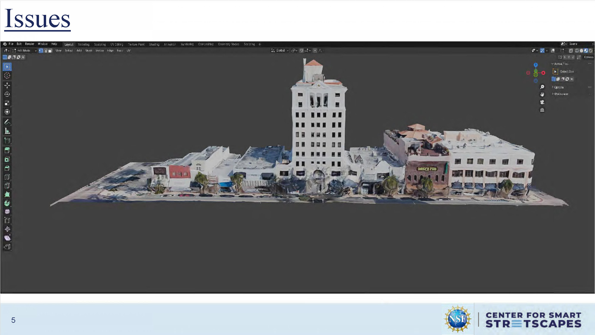 Slide 5: Issues section describing challenges encountered during the project implementation