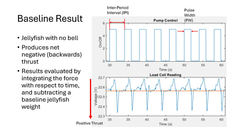 Slide 10: Baseline Result, describing net negative thrust for the jellyfish with no bell, with pump control and load cell reading charts over time.