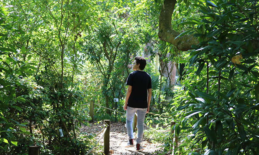 Student walking on path in the trees