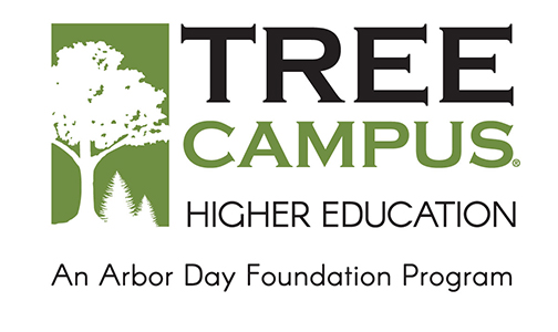 Tree Campus logo