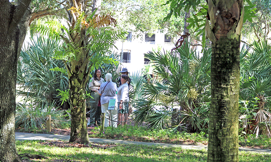 group of people standing amongst a variety of trees and plants