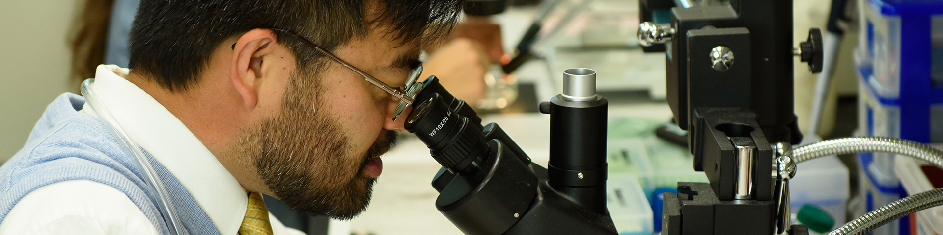 Post doc working in lab looking in microscope