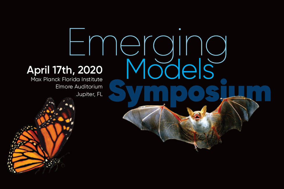 Emerging Models Symposium