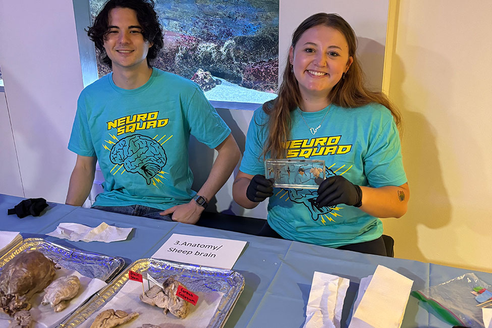 Two individuals sit behind a table wearing turquoise t-shirts that say "Neuro Squad" with a brain outline. One person wears black gloves and holds a clear display container with specimens. On the table are aluminum trays with preserved sheep brain specimens. 
