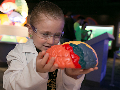 Brain Blitz: Hands-on Brain Science for Kids
