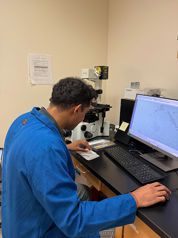Nikhil Prabhakar reviews laboratory samples and microscope images during a summer research fellowship.