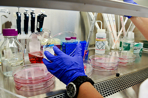 Researcher working at lab