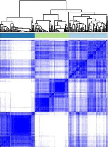 Sample Genomics data analysis graph