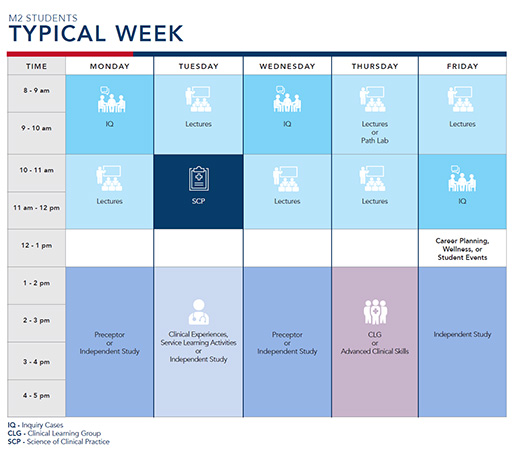 Typical week for M2 Students at FAU