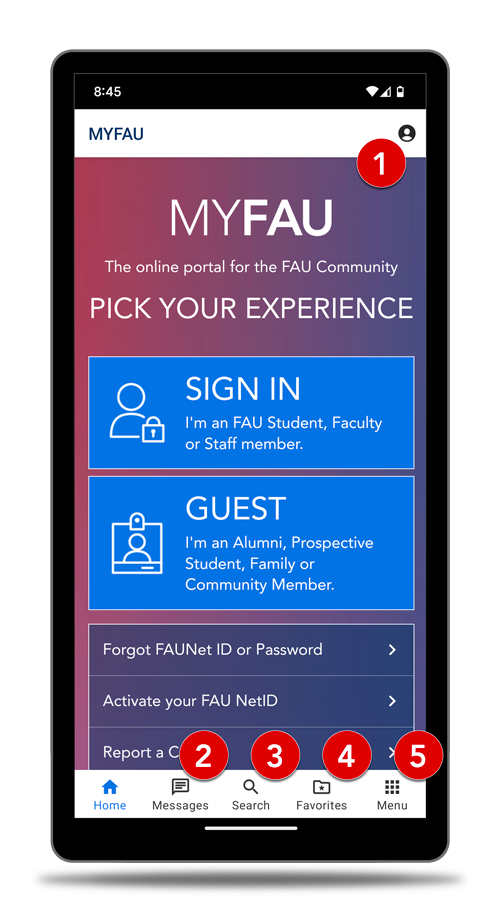 myfau app on a mobile device