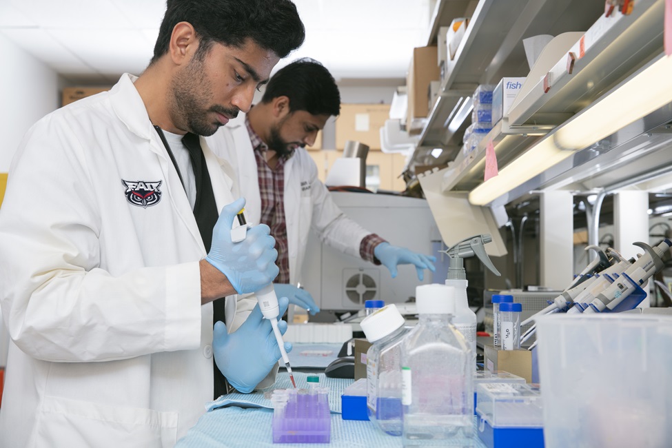 FAU Creates New Department of Biomedical Engineering