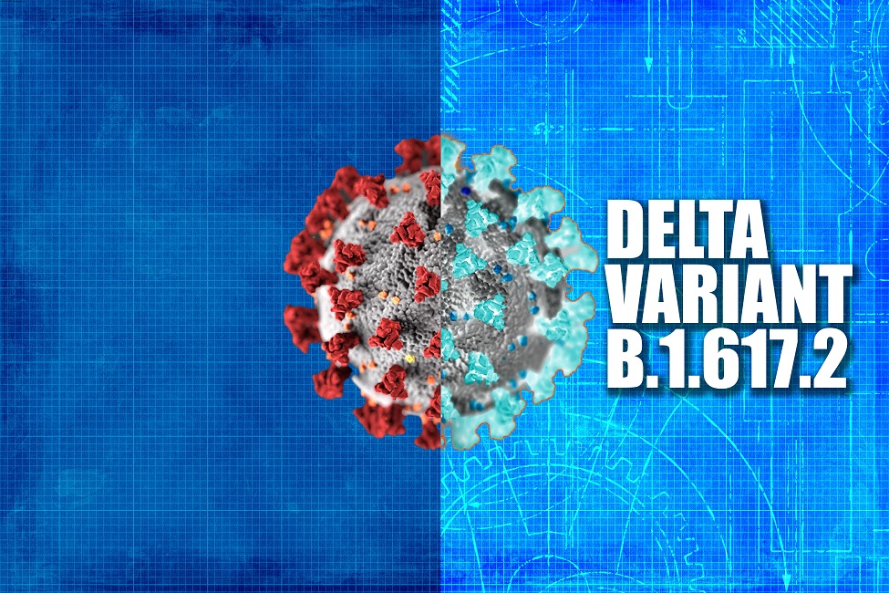 FAU | FAU Expert Answers Questions about the Delta Variant and Vaccines