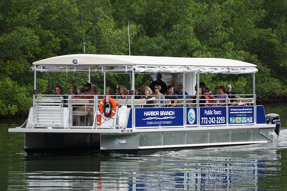 FAU Harbor Branch, Field Trip, Indian River Lagoon, Boat, Pontoon, Discovery