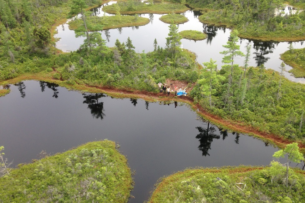 Florida's Everglades, Greenhouse Gases, Emissions, Department of Energy, Subtropical Wetlands, Peat Soils, Ground-penetrating Radar, Florida, Carbon Monoxide, Methane, Nitrous Oxide, Hydrologic Conditions, Environment